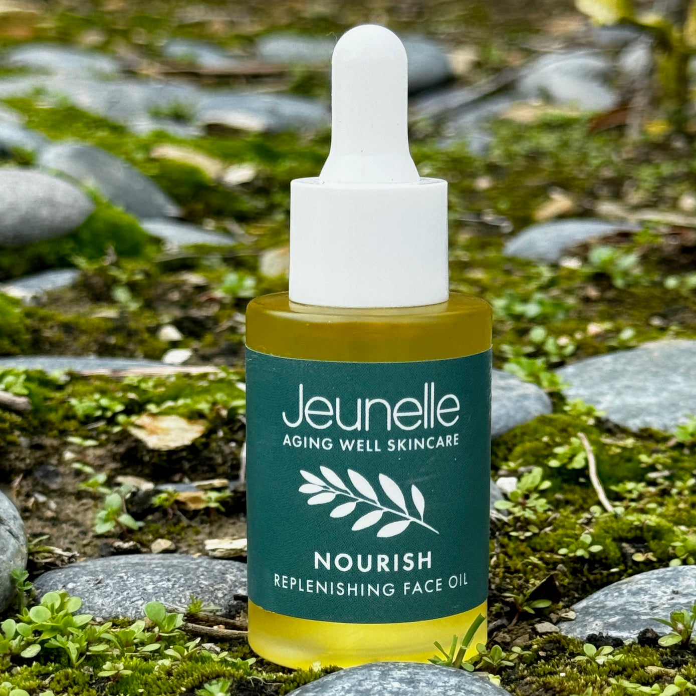 NOURISH Replenishing Face Oil - Jeunelle Aging Well Skincare