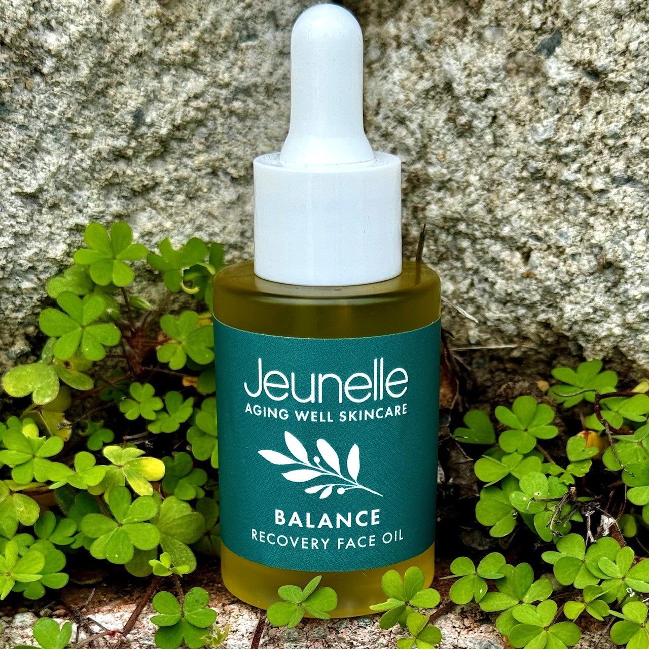 BALANCE Recovery Face Oil - Jeunelle Aging Well Skincare